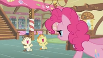 Pound & Pumpkin Cake pure joy S2E13