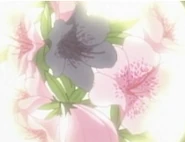 HPC17.Flower