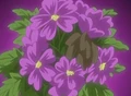 HPC30.Flower