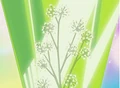 HPC44.Flower