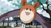 Koumori
