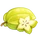 Ingredient-Sensational Starfruit