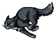 Jay's Wing.softpaw