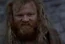 Hamish Braveheart