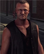 Merlevideogame