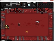 Holy-leech utero
