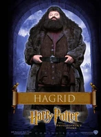 Hagrid PS poster