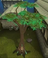 Guthixian tree.png