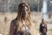 The-walking-dead 3x16 final