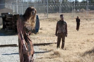 TW 3X16 Walkers