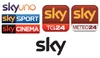 SKY 2010 logos