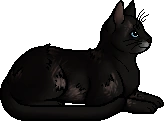 Crowfur.elder