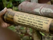 Survivor-tree-mail-300x224