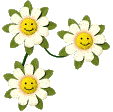 Hvidblomst006