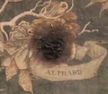 Alphard 2.jpg