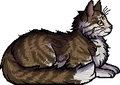 Birdsong.elder.png