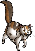 Sorreltail.queen