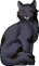 Stormfur.cg