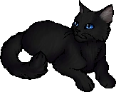 Cinderpelt.star