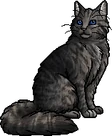 Cinderheart.warrior