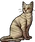 Dawnpelt.warrior