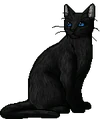 Crowfeather.warrior