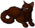 Pinestar.star