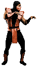 Chameleonfightingstance1.gif (127 KB) Chameleonfightingstance1