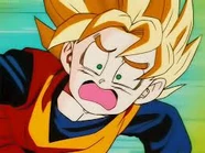 Images (48)