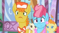 Mr. Cake Pinkie Pie S2E13