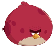 20130404-terence