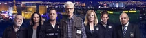 CSI Season 12