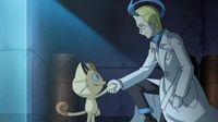 EP781