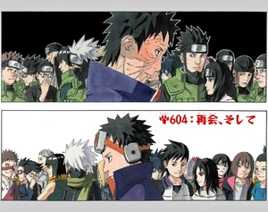 Chapter 604 cover