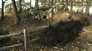 The Warren's entrance