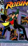 Robin v.1 2