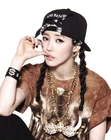 Zinni2