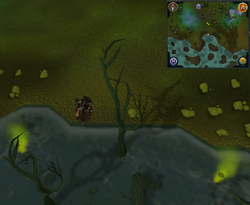 Coal tar exact spot