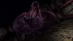 Split worm roar
