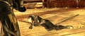 Inali's fate.png