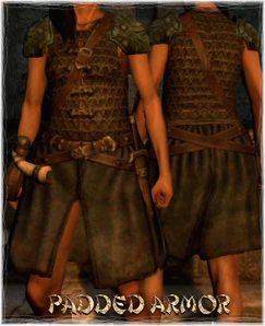 Armour Torso Padded Armor