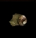 Junk Forteress Junk
