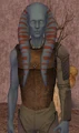 JotiLaike.jpg