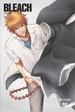 Bleach Vol. 16 Cover