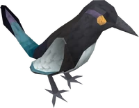 Magpie