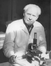 Joseph Hlond