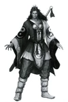 XuShu-DWfanbookoriginal