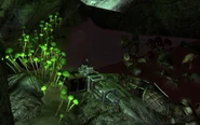 Deathclaw Sanctuary Vengeance