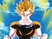 Images (87)
