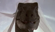 640px-Raptortarp-1024x586